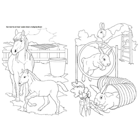 Libro para colorear Selecta tactic animales de granja - 48 páginas - libro para colorear para niños - granja - a partir de 2 años