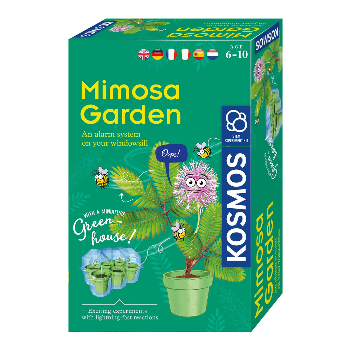 Cultivo de plantas Cosmos Mimosa