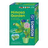 Cultivo de plantas Cosmos Mimosa
