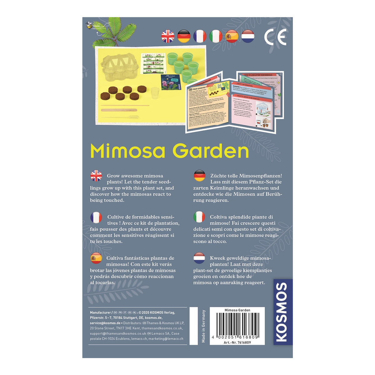 Cultivo de plantas Cosmos Mimosa