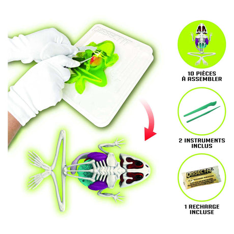 Joker Slimy Lab dissect-it - disecciona una rana