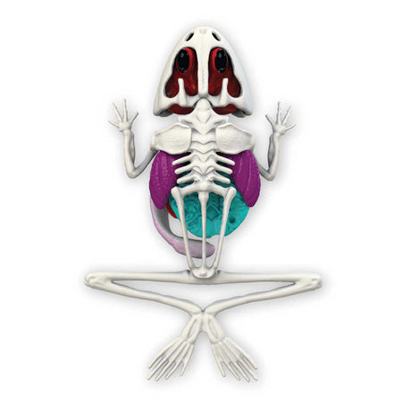 Joker Slimy Lab dissect-it - disecciona una rana