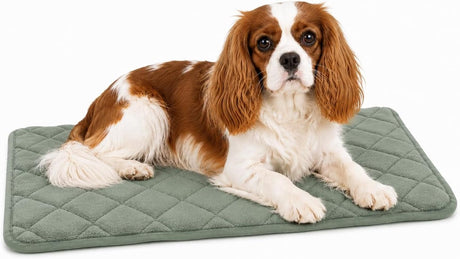 Cojín para perros Flamingo - cojín ortopédico para perros - cojín para banco de espuma viscoelástica - verde weimar xs - comodidad para tumbarse de la más alta calidad - antideslizante - 55,5 cm