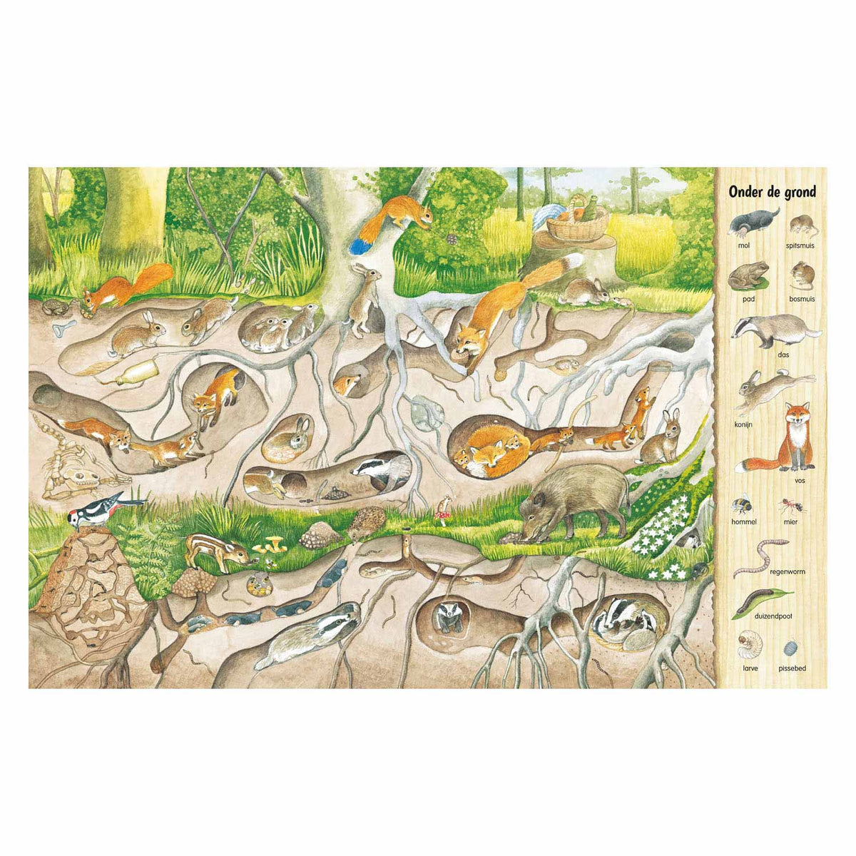 El libro de búsqueda y búsqueda de Delta: en el bosque