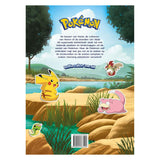 Diversión súper pegatina de pokemon deltas