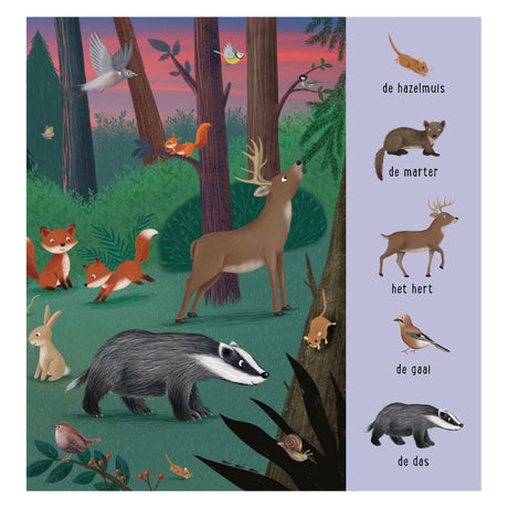 Deltas mi primer libro de búsqueda - animales de todo el mundo