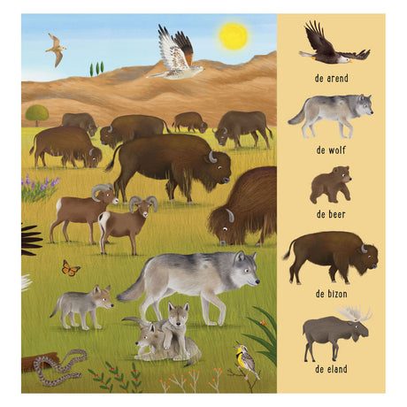 Deltas mi primer libro de búsqueda - animales de todo el mundo