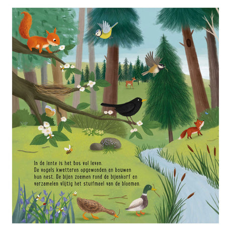 Deltas mi primer libro de búsqueda - animales en el bosque