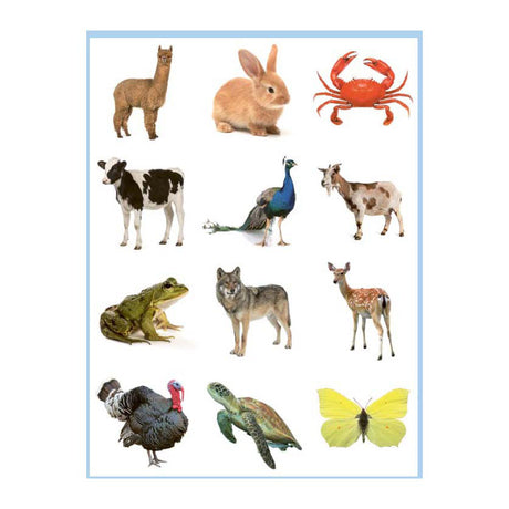 Libro para colorear y pegatinas de animales dulces deltas - 3-5 años