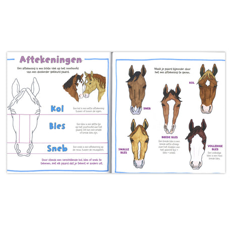 Deltas aprendo a dibujar caballos.