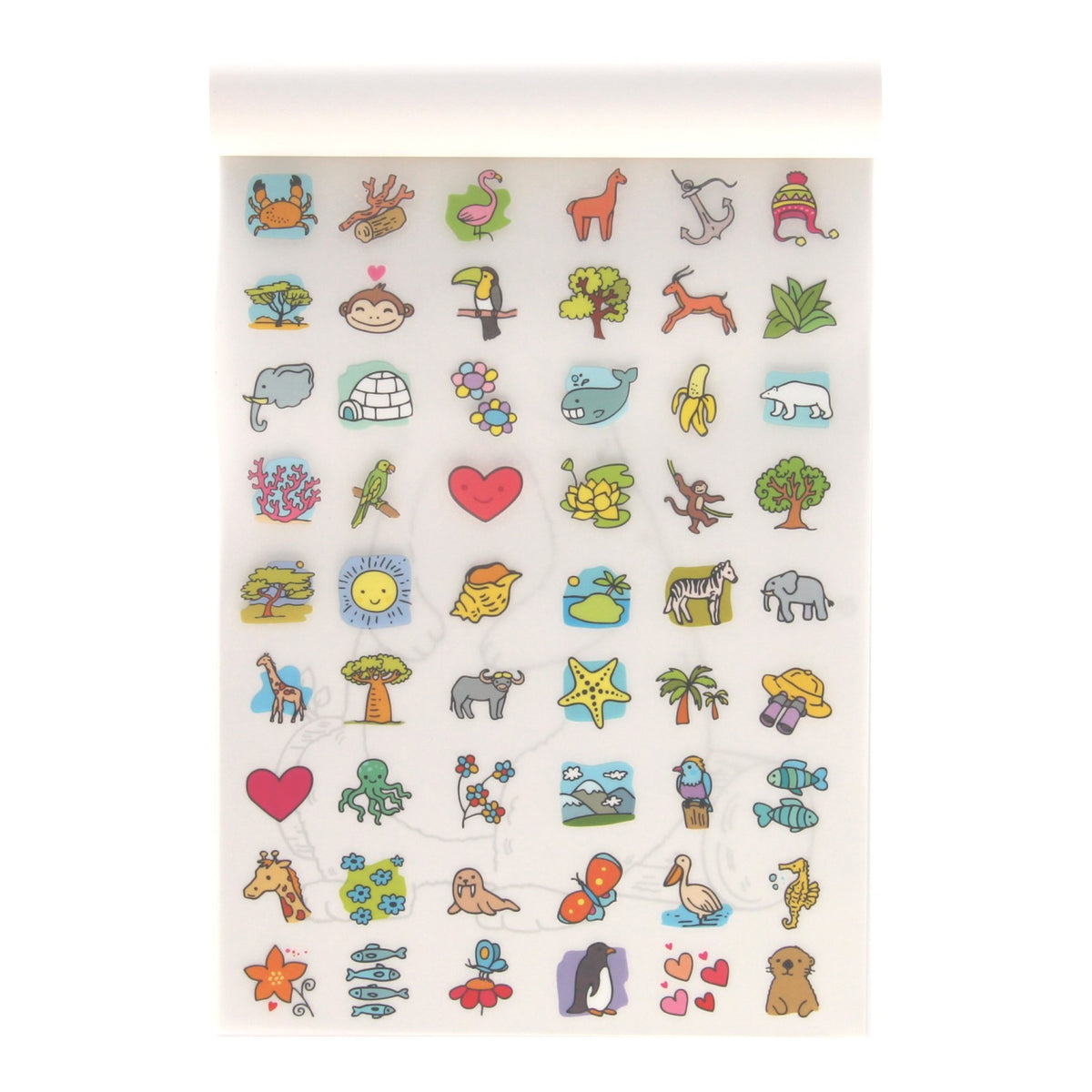 Color y decoración - Animales salvajes