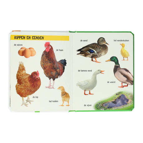 Gana Holanda mira ¿qué ves ahí? la granja