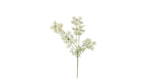 Wildwortel l80cm wit