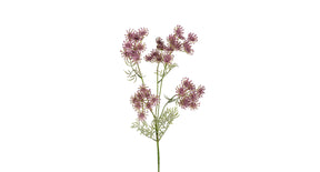 Wildwortel l80cm lila