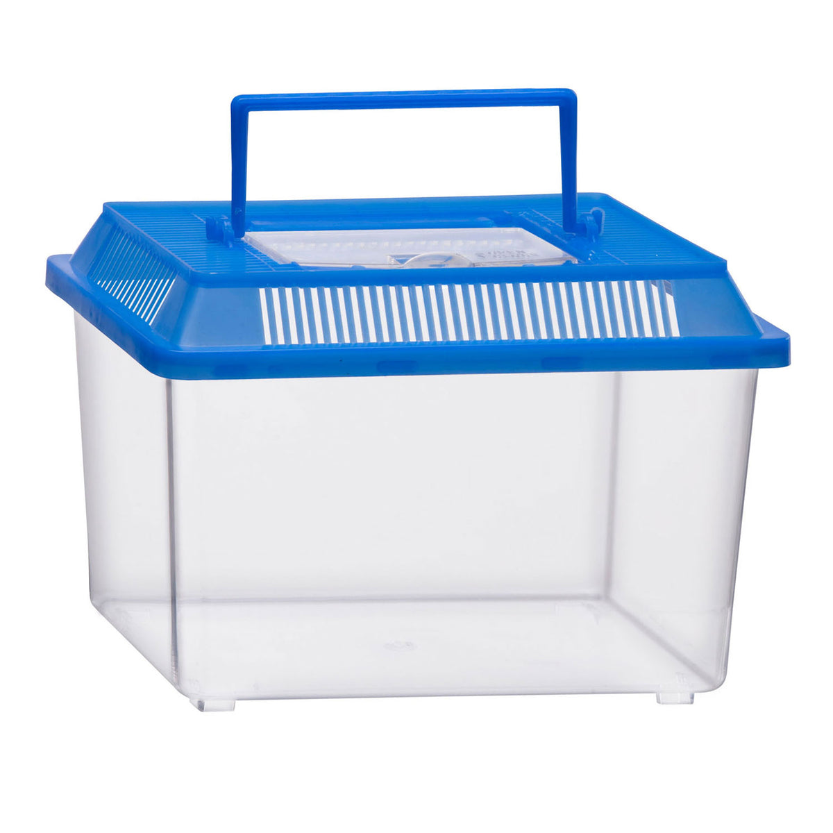 Caja para insectos con tapa sin marca sin marca - Caja para insectos de plástico transparente de 1,8 litros.