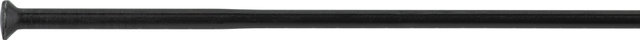 Radios Sapim Race Straight Pull + cabecillas - Paquete de 20