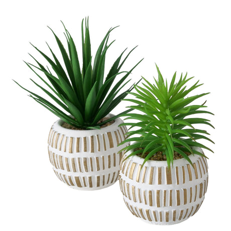 Boltze home planta artificial planta suculenta plástico 9x9x13,3cm 2 surtidos