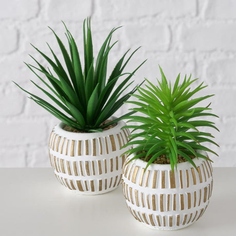 Boltze home planta artificial planta suculenta plástico 9x9x13,3cm 2 surtidos