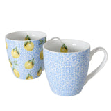 Boltze vaso casero limón 480 ml