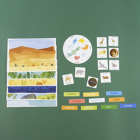 Aprendo jumbo descubre animales juego educativo