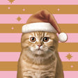 Duni servilletas navidad gato 33x33cm
