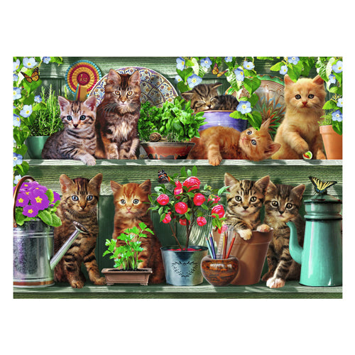 Ravensburger puzzle animales gatitos en el estante - 500 piezas.