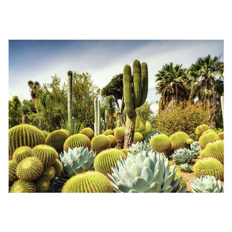 Ravensburger Puzzle Huntington Desert Garden 1000 Piezas Paisaje.