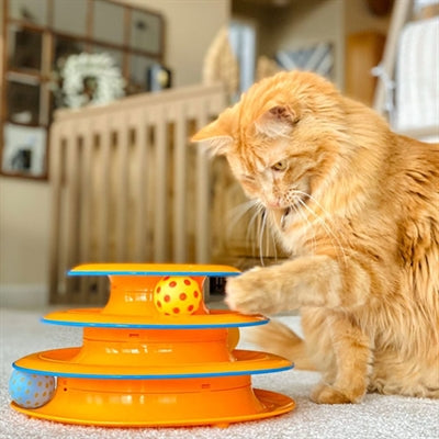 Petspstages Torre of Backs Orange