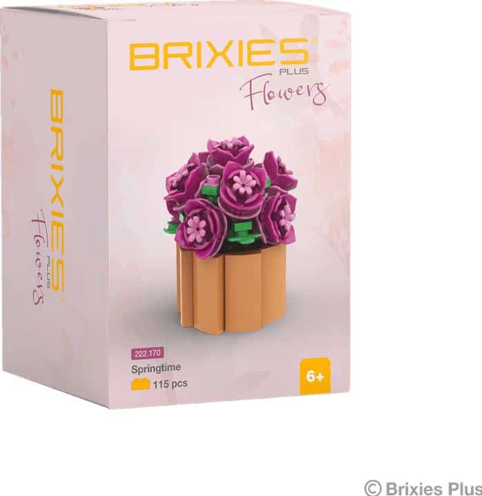 Oku brixies más bloques de construcción de flores de primavera