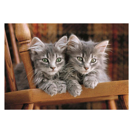 Clementoni rompecabezas gatitos, 500 uds.