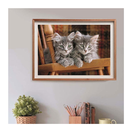 Clementoni rompecabezas gatitos, 500 uds.
