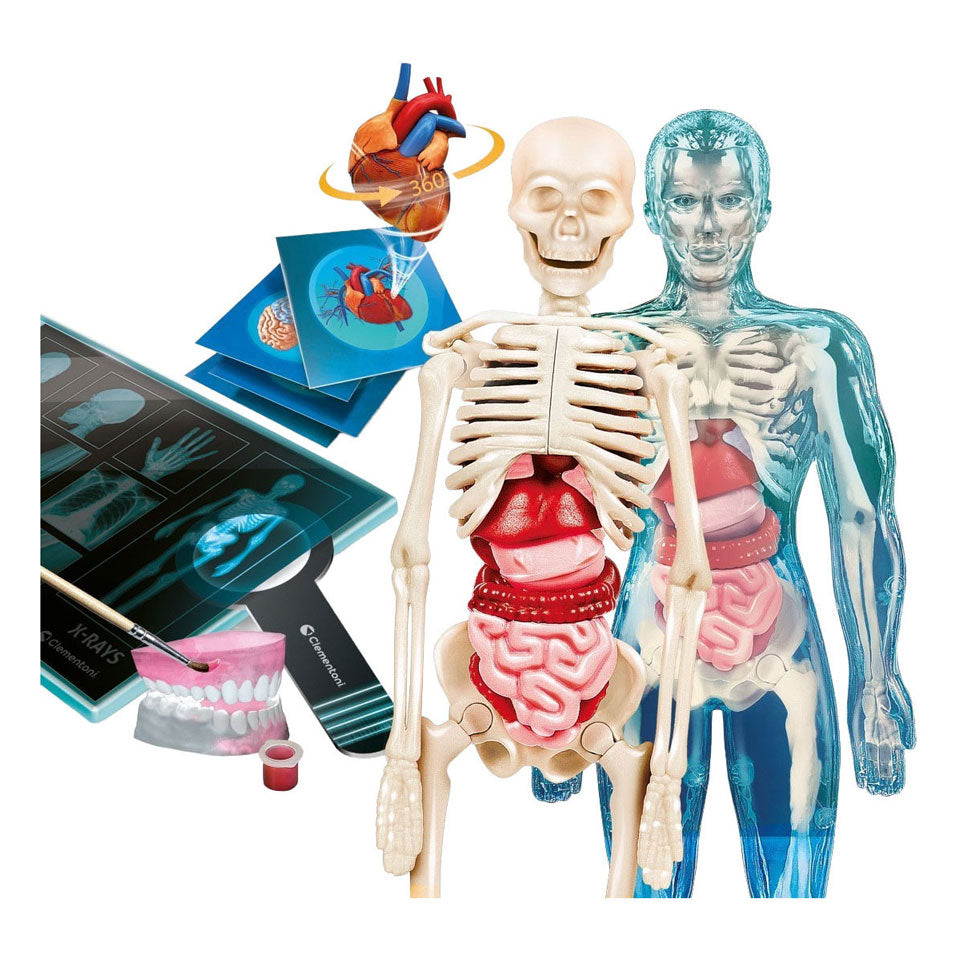 Clementoni ciencia y juego - super anatomía