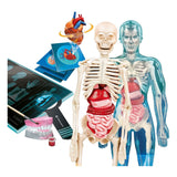 Clementoni ciencia y juego - super anatomía