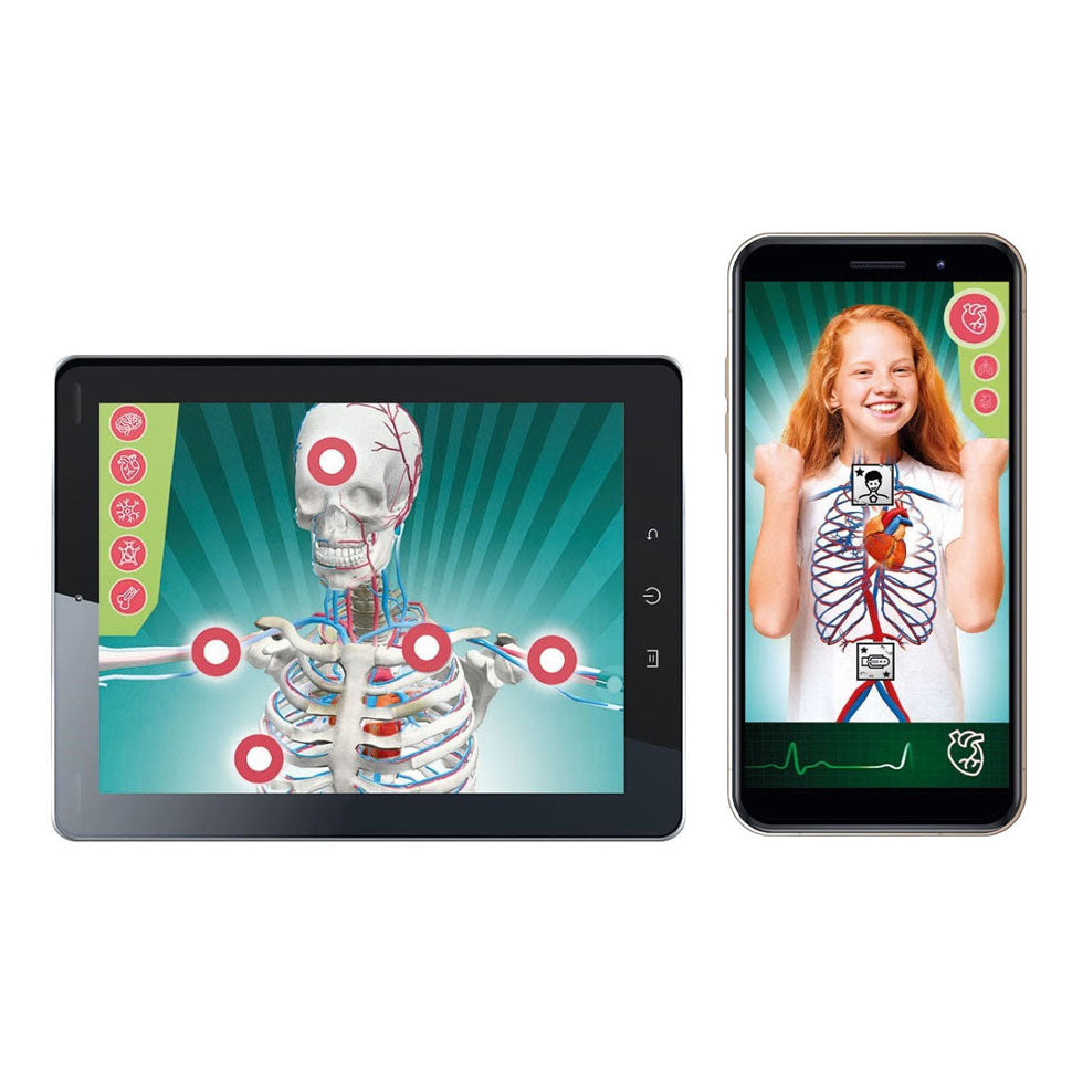 Clementoni ciencia y juego - super anatomía