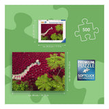 Ravensburger – un mar rojo – rompecabezas – 500 piezas
