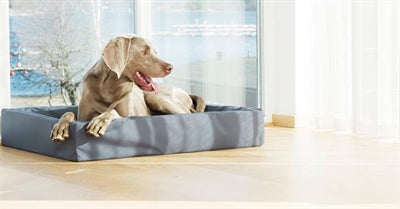 Bia cama hondmand gris original