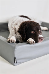 Bia cama hondmand gris original