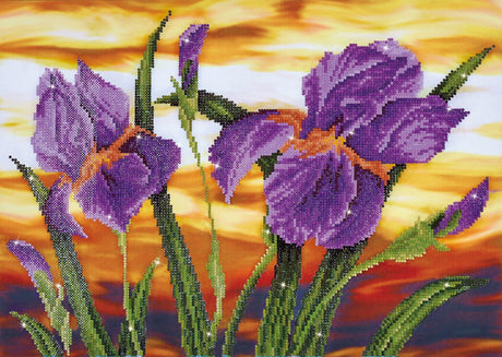 Cuadro de diamantes Brand unit - Diamond Dotz Iris Sunset - 52x37 cm