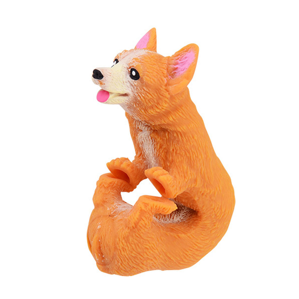 Corgi de perro estirado