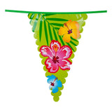 Boland bandera hawaii linea xl, 6 mtr.