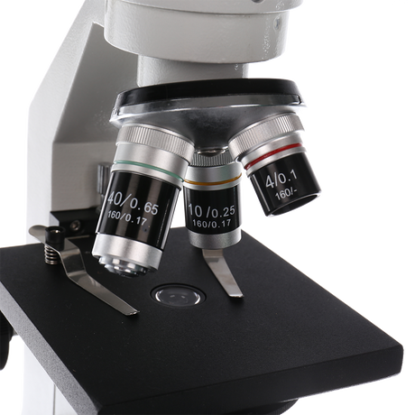 Microscopio de estudio byómico BYO-30