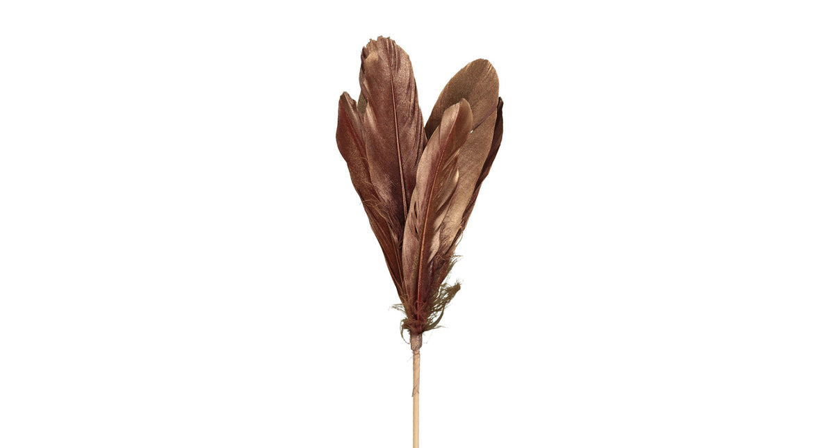 Pb. 12 goose feathers stick burgundy 58cm