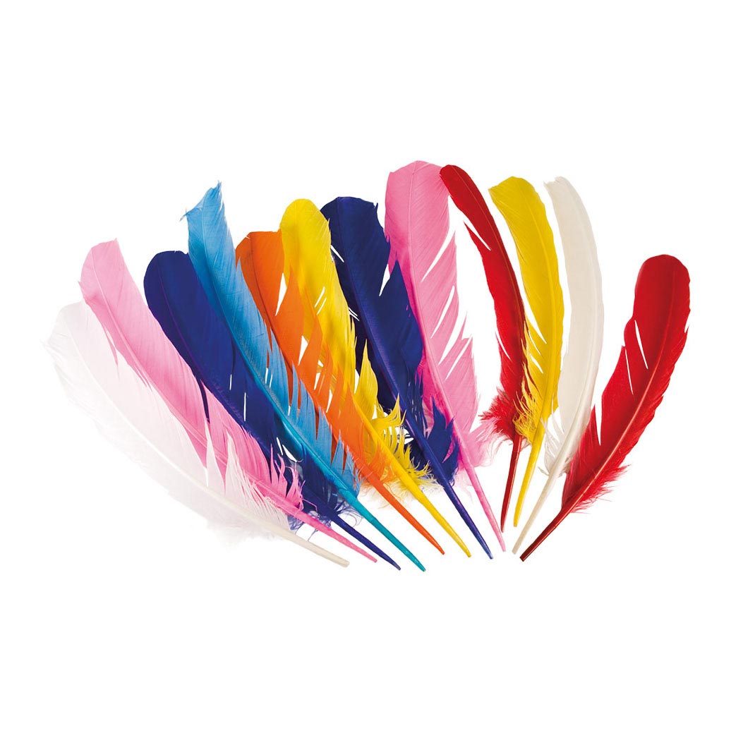 Feathers de los indios de Boland, 12º.