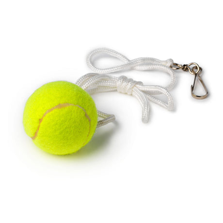 Táctica Bex Sunsport Tennis Pole con 2 raquetas