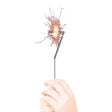 Asterisco Folat bv - número 7