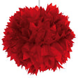 Folat bv montó pompom