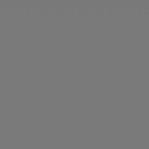 Fondo de tela ojos de halcón s010 2,9x7 m gris