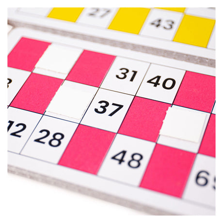 Juego Bigjigs - bingo - completo