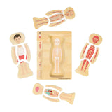 Bigjigs rompecabezas de anatomía de madera - niño, 26 piezas.