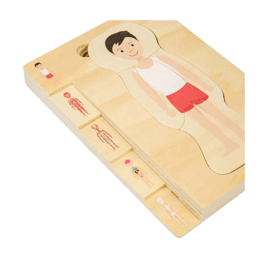 Bigjigs rompecabezas de anatomía de madera - niño, 26 piezas.